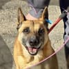 ‼ NOTFALL ‼ soziale RUBY sucht 🆘🆘🆘