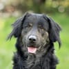 JAMPY2 * sportlicher Schmuser