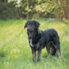 JAMPY2 * sportlicher Schmuser