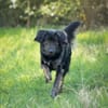 JAMPY2 * sportlicher Schmuser