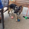 Luthor - verliert sein Zuhause
