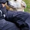 CHITA -sucht ein neues Zuhause-
