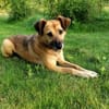 MACI * liebe Seele s. einfühlsames Heim