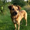 MACI * liebe Seele s. einfühlsames Heim