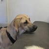 Lina sucht ihre Familie