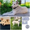 AMBERBLUE -freundlich & unkompliziert-
