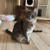 Sahar & Lemon  Kinderliebes Dreamteam