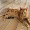 Sahar & Lemon  Kinderliebes Dreamteam
