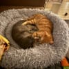 Sahar & Lemon  Kinderliebes Dreamteam