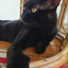 Athos