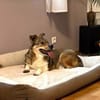 Verliebst du dich in Chicco?