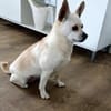 Hier kommt Daisy!