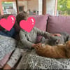 Chuck & Hank zwei liebevolle Kater
