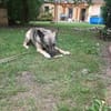 Wunderbare Nyura sucht ihre Familie