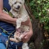 Penny kleine, liebe, freundliche Seele