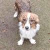 Lilli🧡🧡🧡schönes Plätzchen gesucht