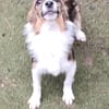 Lilli🧡🧡🧡schönes Plätzchen gesucht