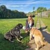 Dina - Familienhund