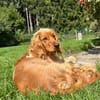 Eddy sucht ein liebevolles Zuhause