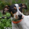 PARKER