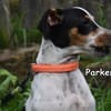 PARKER