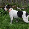 PARKER
