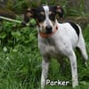 PARKER