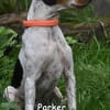 PARKER