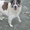 Cash- Körbchen gesucht