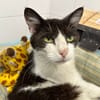 OLIVER en SOS URGENT