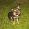 MILY