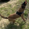 NARCO