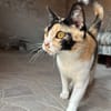 Lena