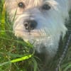 YELLA * lustiger flotter Feger