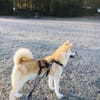 Mila sucht ein Zuhause