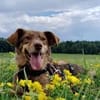 Mondo - ist ein sanfter Schatz