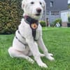 Smilla wartet auf ihre Familie