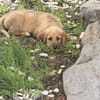 Athena sucht Dich!