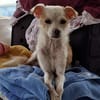 Lola - sucht ein ruhiges Plätzchen