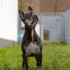 PAULA - sucht dringend HOSPIZ-PLATZ !!!