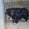 Tino, kleiner Herzensbrecher sucht Dich