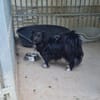 Tino, kleiner Herzensbrecher sucht Dich
