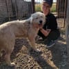 Lieber BOBBY sucht sein Körbchen