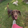 Mina💜💜💜 Für-immer-Zuhause gesucht