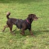 Mina💜💜💜 Für-immer-Zuhause gesucht