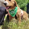 Elvira, Flausch auf vier Pfoten