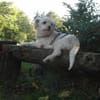 BUBIKO sucht liebes Zuhause