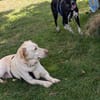 Lilly 🧡🧡🧡schönes Plätzchen gesucht
