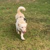 Lilly 🧡🧡🧡schönes Plätzchen gesucht