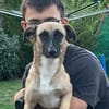 Kleine Lady sucht ihr Für-Immer-Körbchen